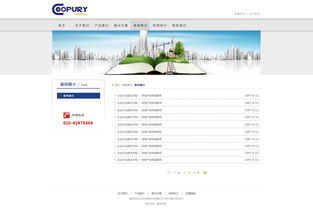 北京网站建设 原创先锋，案例引领未来